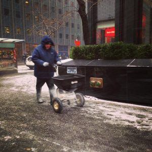 new york