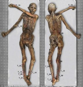 otzi1