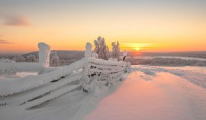 La neve nella regione di Perm (Russia)
