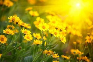 EQUINOZIO PRIMAVERA