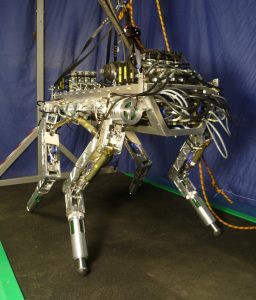 HyQ_Robot_2010_b3