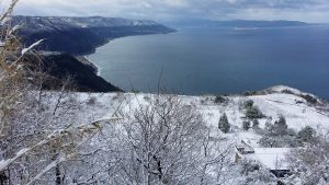 Neve COsta Viola
