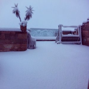 Neve Gerusalemme13