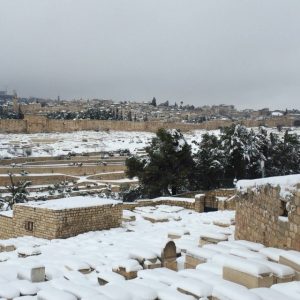 Neve Gerusalemme4