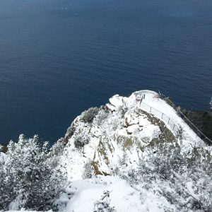 Palmi01