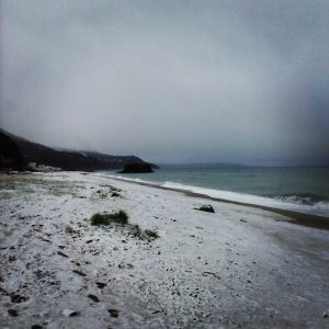Palmi02