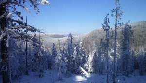 Siberia