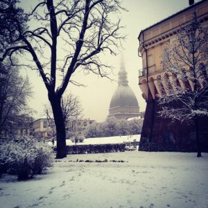 TORINO MOLE NEVE