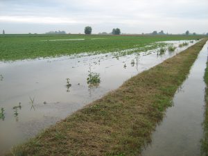 agricoltura2