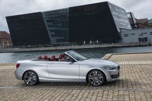 bmw serie 2 cabrio (5)