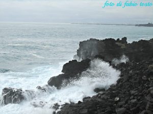catania (8)