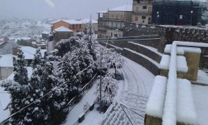 dinami vibo