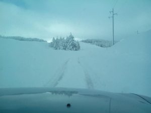 etna neve