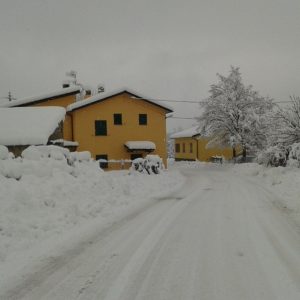 firenzuola
