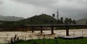 fiume platani