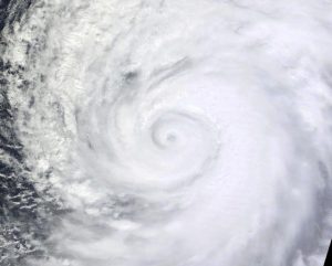 wipha-oct14