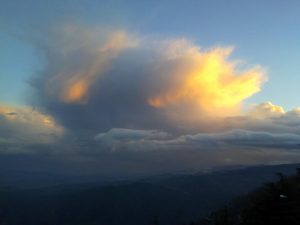 6608361_orig