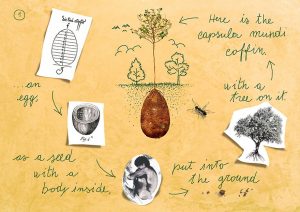 CAPSULA MUNDI 3