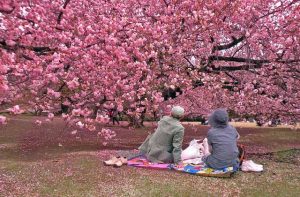HANAMI