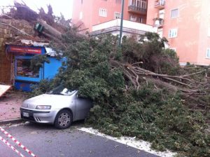 NAPOLI FORTE VENTO (4)