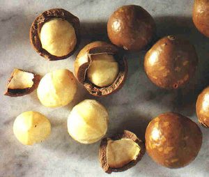 NOCE MACADAMIA 2