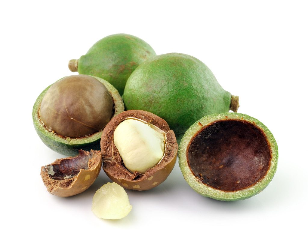 noci di macadamia