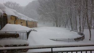 Neve Sicilia Marzo 2015 Piano Battaglia (11)