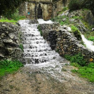 Nuxis