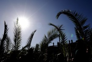 PALME  4