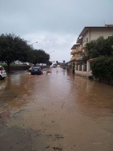 falerna 06