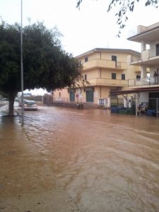 falerna 08
