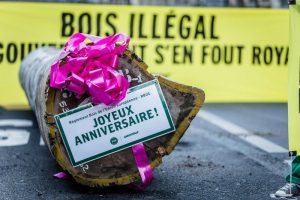 Illegal timber action in Paris