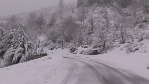 neve pollino orientale (10)