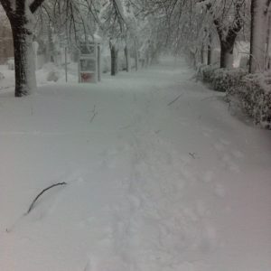 neve