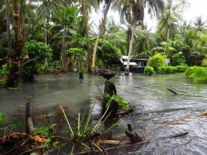 vanuatu 07