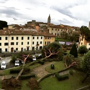 vento10