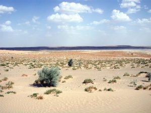 379%20-%20Turkmenistan%20-%20Deserto%20Karakum