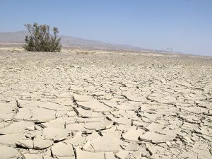 800px-Karakum_Desert