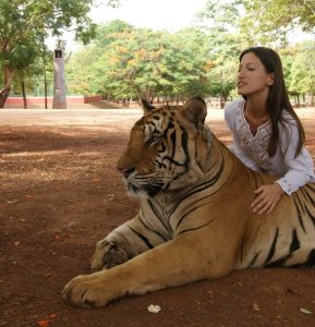 89813068d18bd7f08b6a50ff76a4cfbb