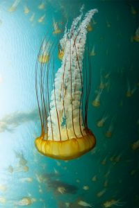 898fda0065d26d5974f9327e25596851