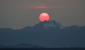 DSC_0048-e1429414608627