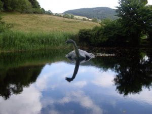 LOCHNESS 2