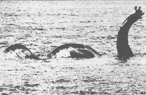 LOCHNESS 9