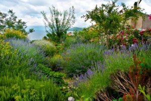 giardino-mediterraneo