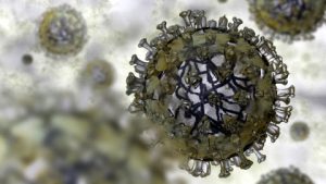 influenza 01