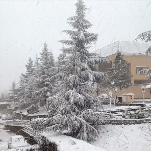 neve 08