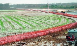 nubifragio agricoltura