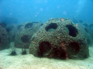 reef ball