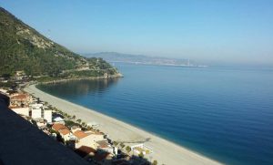 scilla
