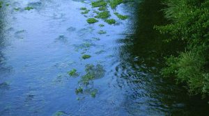 terme di contursi